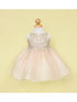 Baby Girls Champagne Gold Lace Embroidered Tulle Flower Girl Dress 6-24M SophiasStyle.com